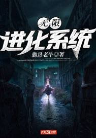 《无限进化系统》